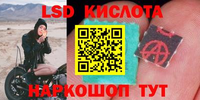 2c-b Камышлов
