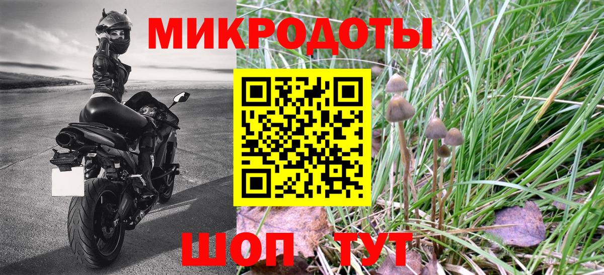 Луга  Псилоцибиновые грибы Psilocybine cubensis  Вход с VPN  Галлюциногенные грибы мухоморы 